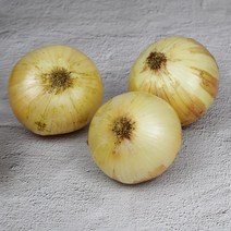 기찬꾸러미농산물 국내산 햇 양파 1kg, 1개