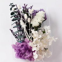 드그라쎄 드라이플라워 모음 박스, 바이올렛