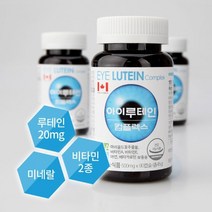 비문증에 좋은 영양제 날파리증 야맹증, 9개월분