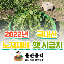 천사의섬 도초 (신안 노지) 섬 시금치 1k 2k 3k 5k 10k, 1box, 5kg