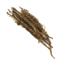 동의한재 국산 말린 와송 건와송 3kg, 단품