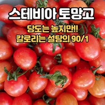 [GB] 스테비아 토망고, 방울토망고 1팩 (500g), 1개