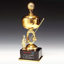 골프트로피 상패 감사패 DS10460-2