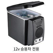 COSYEVNO 차량용 냉장고 편휴식 야영하다, 12V/24V크고 작은 자동차의 일반적인 사용, 6L블랙
