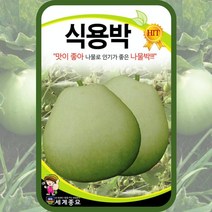 식용박 씨앗 나물박씨앗 10립 박씨앗 희귀채소 종자 gourd seed, 단품