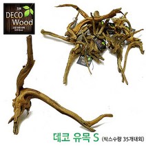 영아쿠아 데코 유목 S 프리미엄 가지유목 약 20~25cm