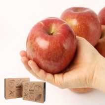 충북괴산 달콤하고 아삭한 충북사과, 3kg 14-16과