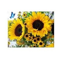 MJS 보석십자수 50 x 40 cm 캔버스형 세트 DIY, 해바라기꽃다발