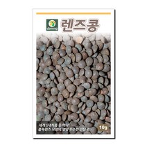 다농 렌즈콩(렌틸콩) 씨앗 10g