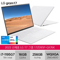 LG그램 2022 신제품 17ZD95P-GX76K 인텔i7 화이트 노트북, Free DOS, 16GB, 1TB, 코어i7, 스노우화이트