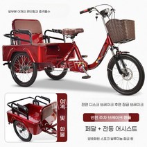 2인승 전기자전거 전동 접이식 스쿠터 유아동승 세발 자토바이 48V 350W 팻바이크, 레드85+10A리튬배터리25km충전기