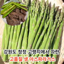 [국내산고품질] 마미템 국산 생 아스파라거스 500g 1kg, 500g(혼합사이즈), 1개