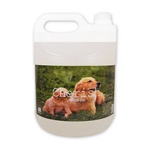 체리쉬 탈취제(파우더향) 4L, 1