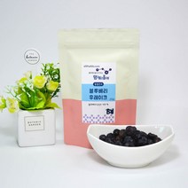 블루베리푸레이크