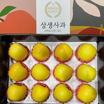 경북 명품 프리미엄 시나노골드 황금사과 선물세트 과일 명절 추석 사과 선물세트 선물용 3kg 5kg, 3kg(9-10과), 1개