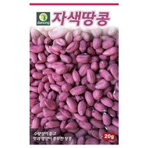 브랜드없음 자색땅콩 씨앗 20g[AS], 단품없음