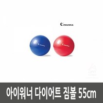 홈트공 짐볼운동법 코어운동 다이어트 짐볼 55cm