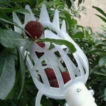 농업 기계 텃밭 도구 농기구Bayberry용 고지 과일 피커 딸기 따기 용 수확기 사다리 필요 없음 밀밭 과일 따기, 협동사, 1개, 하얀색