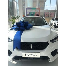 웨딩카장식 자동차 거대한 빨간 활 4s 숍 쇼룸 신차 배달 생일 졸업 깜짝 선물 포장, 꼬리가 2개인 p2 파란색