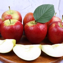 사과유명한곳 작은사과 꼬마사과 루비에스, 하우스루비에스 특상 1kg