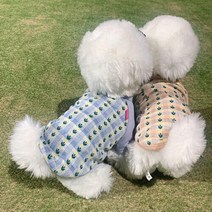 블링독 오아시스 라운드 티셔츠 블루 강아지옷티셔츠 닥스훈트 웰시코기 애견 댕댕이, XL