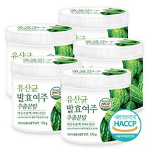푸른들판 국산 발효 여주 분말 추출물 추출 김치 유산균 농축 가루 국내산 안쓴 비터멜론 차 암팔라야 추출액 파우더 haccp 인증, 170g, 5개
