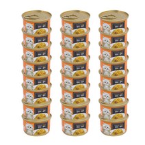프리미엄 골드 런치 캔 80g 24개, 연어+참치 24개 1박스