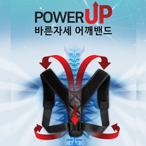 대진무역 바른자세교정밴드 굽은등 척추견인벨트 복대 어깨교정 바른체형 교정밴드, 어깨교정밴드(FREE)