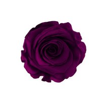 프리저브드 장미 머리(head) - 컬러 로즈 보존화, 미디엄(3~3.5cm), 장미 HEAD(머리) 딥퍼플