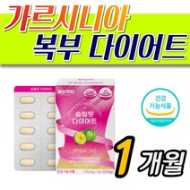 중년 남자 아랫배 복부 체지방 감소 가르시니아 캄보지아 40대 50대 탄수화물 억제 윗배 아랫배 복부비만 뱃살 운동 안하고 컷 HCA 캄보디아 추출물 PTP 캡슐 garcinia 추천