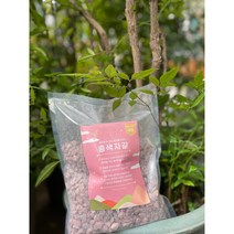 홍색자갈 1Kg 2.5Kg) 붉은돌 화분 어항 바닥재 다육이 조경 자갈돌 수경재배돌 인테리어돌, 2.5Kg - 미립