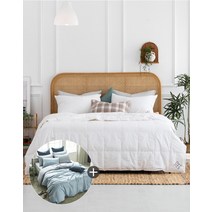 [소프라움] 폴란드80 간절기 구스이불솜+모드니 이불베개커버세트 퀸, 핑크