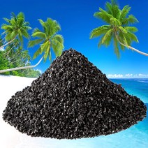 에코라이프 ECO 야자 활성탄 실내 탈취제, 1개, 1kg