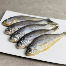 [더주] 낭만바다 여수 참조기, 1개, 80g 10마리 = 800g