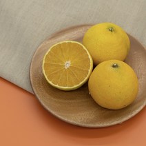 순수농장 제주 황금향 추석 명절 선물세트 2kg 3kg 5kg 가방포장 1박스, 새콤달콤 황금향 특대과5kg