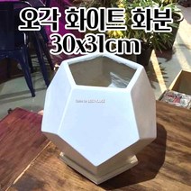 오각 미니 화분 화이트 30X31CM 선인장 화초 꽃 예쁜 빈티지화분 봄 북유럽디자인화분