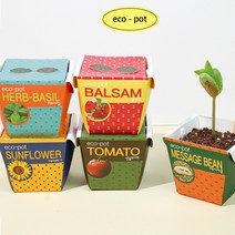 (꿈쟁이) 에코팟 방울토마토 해바라기 허브바질 봉선화 메시지콩 1인용 종이화분