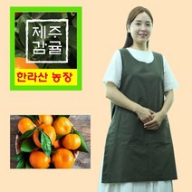 한라산 조생 노지 제주귤 10kg 친환경 못난이 고당도 밀감 제주 밀감 감귤농장, 상세페이지 참조