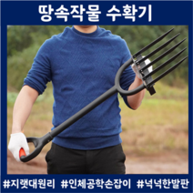 마늘캐기 감자캐기 고구마심기 뿌리식물 구황작물 수확기 파마늘 도라지 땅콩, 땅속작물 수확기