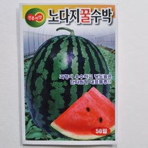 노다지꿀수박 씨앗 50립 과형이 우수하고 당도 높은 채소 진흥종묘