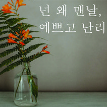 단비데코 감성레터링 스티커 감성문구 응원 명언 현관문 포인트스티커, L-47예쁘고난리-화이트