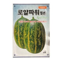 개구리참외씨앗 종자 로얄파워 100립, 1개