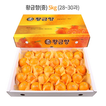 제주 황금향 선물세트 5kg (중과) 28-30과 / 하우스 노지 고당도 귤 감귤 밀감 레드향 천혜향 카라향 청귤 수라향 신비향 가정용 추석 명절 설 감사 은사 선물 조생 타이벡, 5kg (대) 24-27과