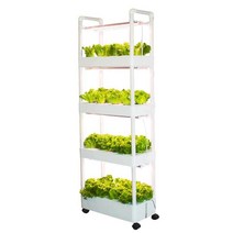 수직농장 스마트팜설치 베란다 수경재배포트 가정용, 새로운 3층 입체 물순환  6등 세트