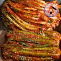 [황장군] 당일제조 여수 전라도 파김치 돌산 갓김치 1kg 2kg 3kg, 여수 돌산 갓김치