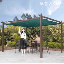 오늘에직구 선룸 펜션 루프탑 카페 썬룸 테라스 전원주택, 2.62x2.72M커피포도스탠드+짙은녹색천