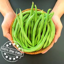 얼리지 않은 100% 지리산 산지직송 생 그린빈 롱빈(껍질째 먹어요), 그린빈(줄콩) 500g