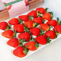 [당일수확 산지직송] 프리미엄 담양 설향딸기 고당도 20구-2박스(1.8kg내외) 남도오일장