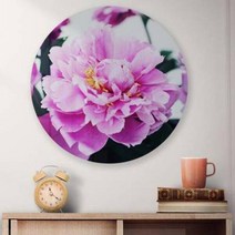 아트박스/꾸밈 id996-대형원형아크릴액자_부를부르는작약꽃
