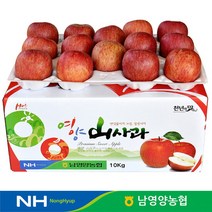 경북 영양농협 사과 꿀부사 상품 10kg 34-39과, 단품